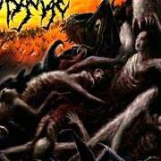 El texto musical REVEALED IN OBSCURITY de DISGORGE (USA) también está presente en el álbum Parallels of infinite torture (2005)