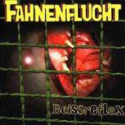 Beissreflex Beissreflex