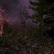 El texto musical FUNERAL PLANT de FIREWORKS también está presente en el álbum Higher lonely power (2024)