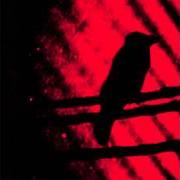 El texto musical THIS GENTLE HEARTS LIKE SHOT BIRDS FALLEN de A SILVER MT. ZION también está presente en el álbum Born into trouble as the sparks fly upward (2001)
