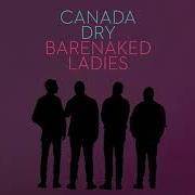 El texto musical CANADA DRY de BARENAKED LADIES también está presente en el álbum Fake nudes (2017)