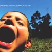 Songs to scream at the sun