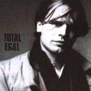 El texto musical VERGISS ES, LASS ES de HERBERT GRÖNEMEYER también está presente en el álbum Total egal (1982)