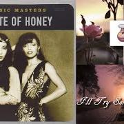 El texto musical I'LL TRY SOMETHING NEW de A TASTE OF HONEY también está presente en el álbum Ladies of the eighties