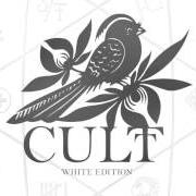 El texto musical SOMETHING'S WRONG de BAYSIDE también está presente en el álbum Cult (2014)