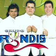 El texto musical PARA TI MAMÁ de GRUPO BRYNDIS también está presente en el álbum Solo pienso en ti (2007)