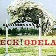 El texto musical READYMADE de BECK también está presente en el álbum Odelay (1996)