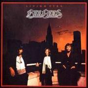 El texto musical NOTHING COULD BE GOOD de BEE GEES también está presente en el álbum Living eyes (1981)