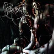 El texto musical INHERITED PLAGUE de BEHEADED también está presente en el álbum Recounts of disembodiment (2002)