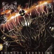 El texto musical ESOTERIC KIN de BEHEADED también está presente en el álbum Ominous bloodline (2005)