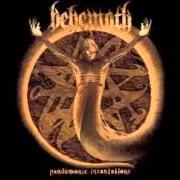 El texto musical THE THOUSAND PLAGUES I WITNESS de BEHEMOTH también está presente en el álbum Pandemonic incantations (1997)