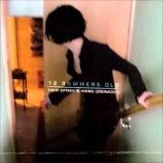 El texto musical BOY LIKE ME de 12 SUMMERS OLD también está presente en el álbum Hair spray & hand grenades (2006)