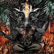 El texto musical REICHSWEHR IN BLOOD de BELPHEGOR también está presente en el álbum Walpurgis rites - hexenwahn (2009)