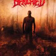 El texto musical GRIND WIT de BENIGHTED también está presente en el álbum Icon (2007)