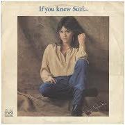 El texto musical DON'T CHANGE MY LUCK de SUZI QUATRO también está presente en el álbum If you knew suzi (1978)