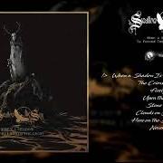 El texto musical NEVER LEFT de SWALLOW THE SUN también está presente en el álbum When a shadow is forced into the light (2019)