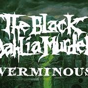 El texto musical GODLESSLY de THE BLACK DAHLIA MURDER también está presente en el álbum Verminous (2020)