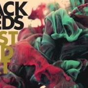 El texto musical LOOSE CARTILAGE de THE BLACK SEEDS también está presente en el álbum Dust and dirt (2012)