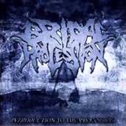 Introduction to the procession - demo