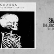 El texto musical THE LIGHT AT THE END OF THE TUNNEL IS HELL de THE SHARKS también está presente en el álbum The joys of living 2008-2010 (2011)