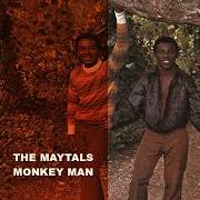 Monkey man