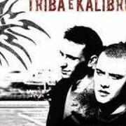 El texto musical NON DORMIRE de TRIBA E KALIBRO también está presente en el álbum Colpisci (2007)