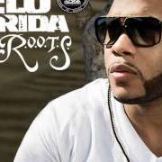 El texto musical BIRTHDAY de FLO RIDA también está presente en el álbum Low (2007)