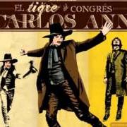 El texto musical UNA NOCHE SIN FIN de CARLOS ANN también está presente en el álbum El tigre del congrés (2010)