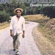 El texto musical GUAJIRO NATURAL de POLO MONTANEZ también está presente en el álbum Guajiro natural