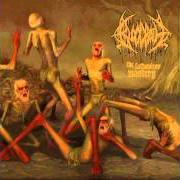 El texto musical AT THE BEHEST OF THEIR DEATH de BLOODBATH también está presente en el álbum The fathomless mastery (2008)