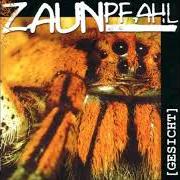 El texto musical ICH KÖNNTE de ZAUNPFAHL también está presente en el álbum Gesicht (2001)