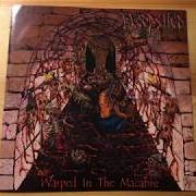 El texto musical MOLESTING THE INNOCENCE de BLOODSHED también está presente en el álbum Warped in the macabre (2003)