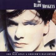 El texto musical CASH de THE BLOW MONKEYS también está presente en el álbum She was only a grocer's daughter (2014)