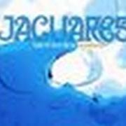 El texto musical SANGRE de JAGUARES también está presente en el álbum Bajo el azul de tu misterio 2 (1999)