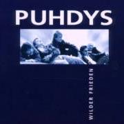El texto musical DIESER TAG GEHÖRT DIR de PUHDYS también está presente en el álbum Wilder frieden (1999)