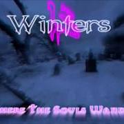 El texto musical BEAUTY IS THE BEAST de 13 WINTERS también está presente en el álbum Where the souls wander (2004)