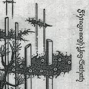 El texto musical THE TWILIGHT FADE de THERGOTHON también está presente en el álbum Fhtagn-nagh yog-sothoth - demo (1991)