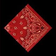 El texto musical RIDING WITH RED de AARON WATSON también está presente en el álbum Red bandana (2019)