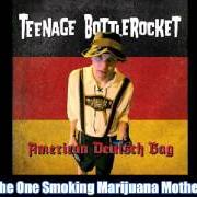 El texto musical ICH BIN AUSLÄNDER UND SPRECHE NICHT GUT DEUTSCH de TEENAGE BOTTLEROCKET también está presente en el álbum American deutsch bag (2013)