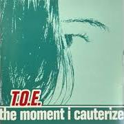 El texto musical ARE YOU LOOKING UP? de T.O.E. también está presente en el álbum The moment i cauterize (2001)