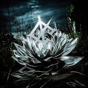 Darkbloom Darkbloom