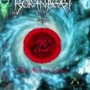 El texto musical THE BLACK TOKEN de BORKNAGAR también está presente en el álbum The archaic course (1999)