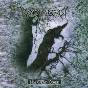 El texto musical GRIMLAND DOMAIN de BORKNAGAR también está presente en el álbum The olden domain (1997)
