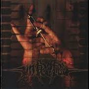 El texto musical EVOLUTION THROUGH VIOLENCE de THE INFESTED también está presente en el álbum ...Until it breaks down again (2005)