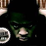 El texto musical SWAMP NIGGA FREESTYLE de BOW WOW también está presente en el álbum Half man half dog (2008)