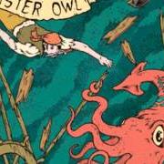 El texto musical SCREW THE STANDARD de MISTER OWL también está presente en el álbum All my friends (2008)