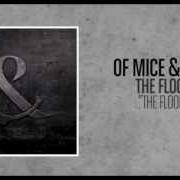 El texto musical LETTING YOU GO de OF MICE & MEN también está presente en el álbum The flood (2011)