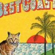 El texto musical CRAZY FOR YOU de BEST COAST también está presente en el álbum Crazy for you (2010)