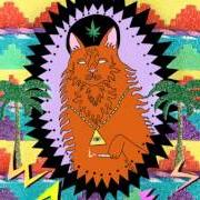 El texto musical BASEBALL CARDS de WAVVES también está presente en el álbum Kings of the beach