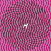 El texto musical STRANGE LIGHTS de DEERHUNTER también está presente en el álbum Cryptograms (2007)